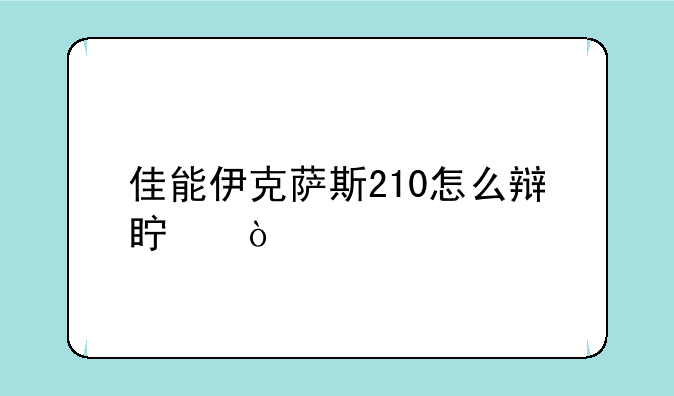 佳能伊克萨斯210怎么辩真伪