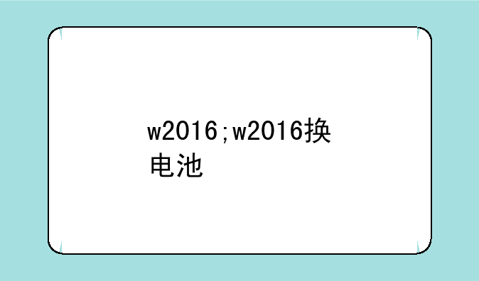 w2016;w2016换电池