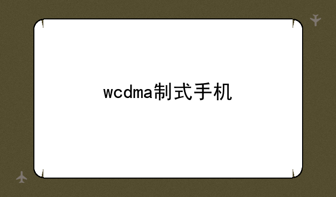 wcdma制式手机