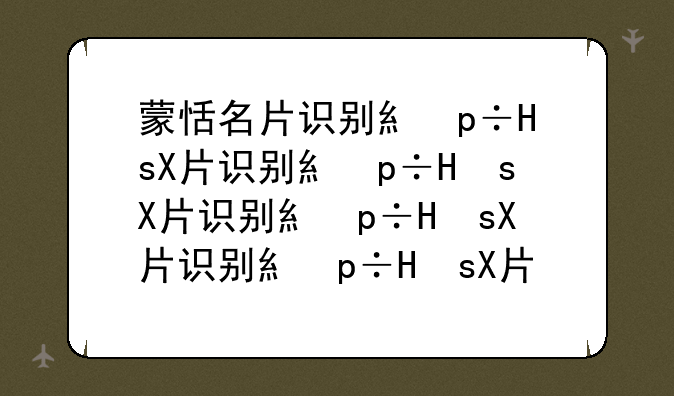 蒙恬名片识别系统—蒙恬p图