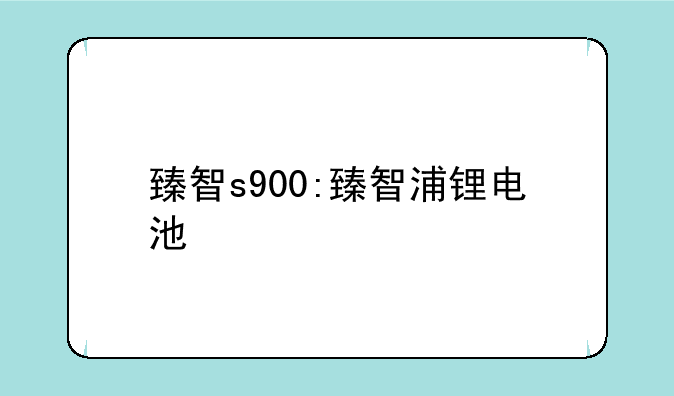 臻智s900:臻智浦锂电池